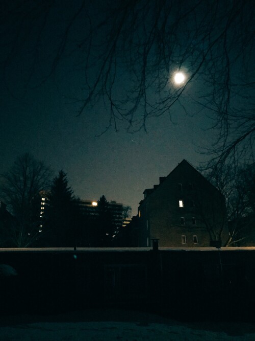 119fb458-26a1-4fb9-83b4-fa7becf6510a.jpg