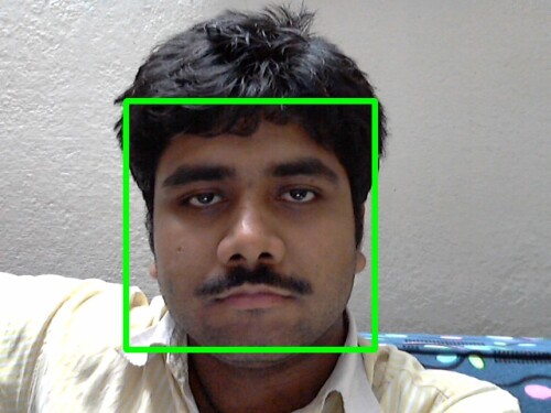 face11.jpg