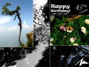 happy-birthday-300x22563e04dc8a3b3a83f.jpg