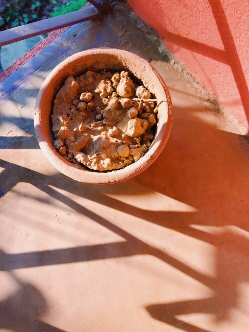 image-12.jpg
