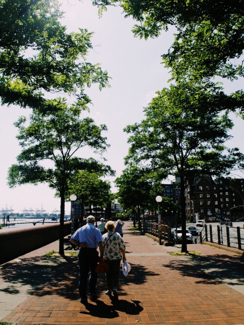 image-28.jpg