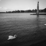 image-29-150x150.jpg
