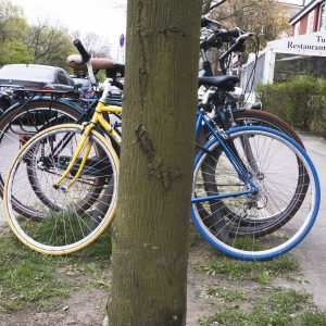 image-31-300x3008b72a8bf9229a3f8.jpg