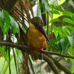 image-44-150x1503b4a828b54edb015.jpg