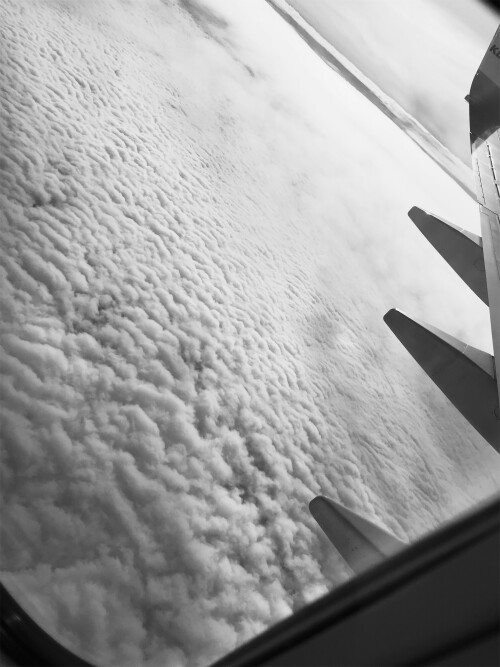 image-9.jpg