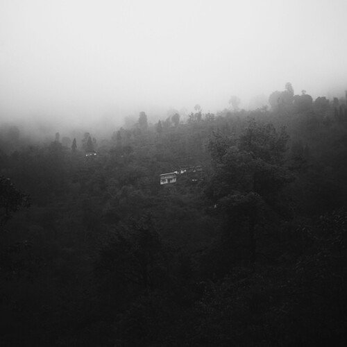 0E807C60-B46F-4539-8C34-7D2CF94AA062.jpeg