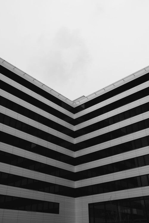 7B215E4D-091D-4305-8A0F-28951710E1AF.jpeg