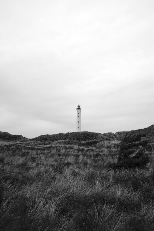 DSCF1145-1.jpg