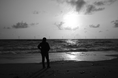 DSCF1195.jpg