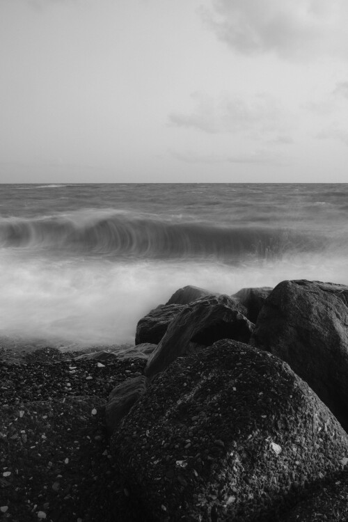 DSCF1203.jpg