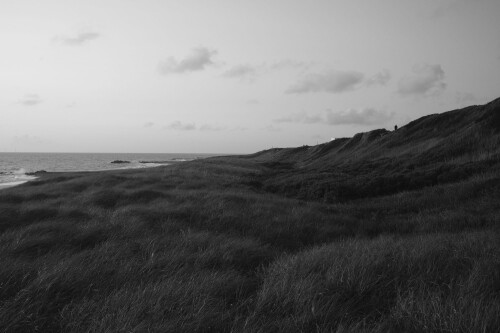 DSCF1210.jpg