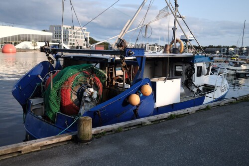 DSCF1255.jpg