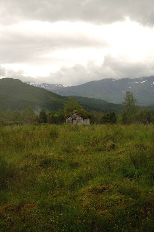 DSCF1325.jpg