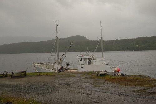 DSCF1334.jpg