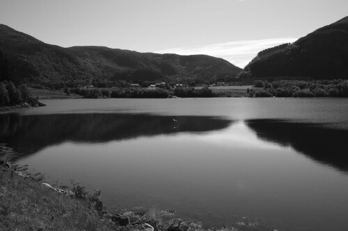 DSCF1373.jpg