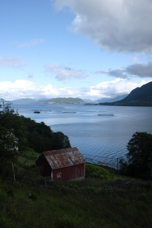 DSCF1414.jpg