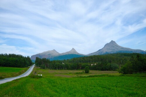 DSCF1428-1.jpg