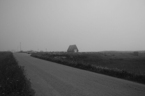 DSCF1521.jpg