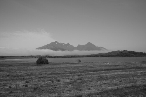 DSCF1545.jpg