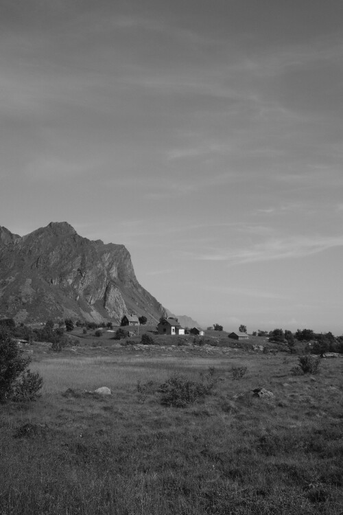 DSCF1553.jpg