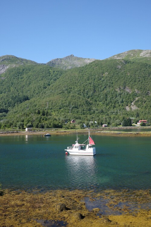 DSCF1590.jpg