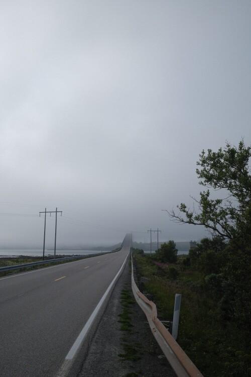 DSCF1614.jpg