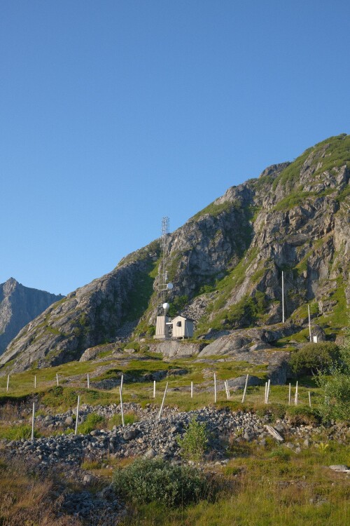 DSCF1627.jpg