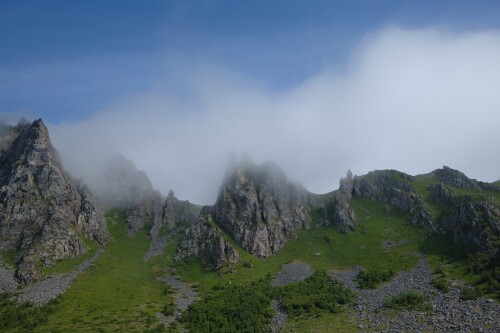 DSCF1658.jpg