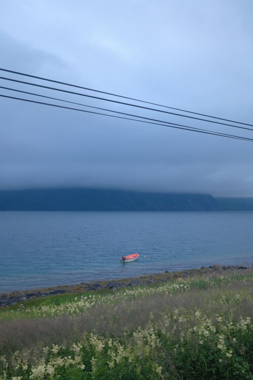 DSCF1701.jpg