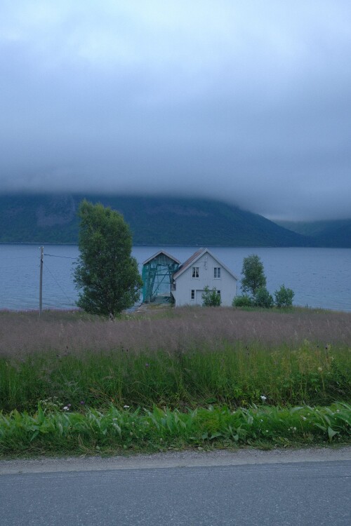 DSCF1703.jpg