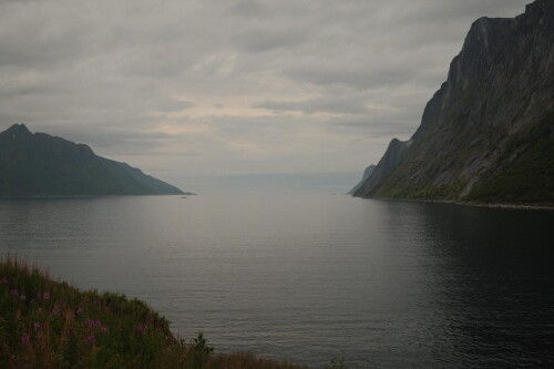 DSCF1713.jpg