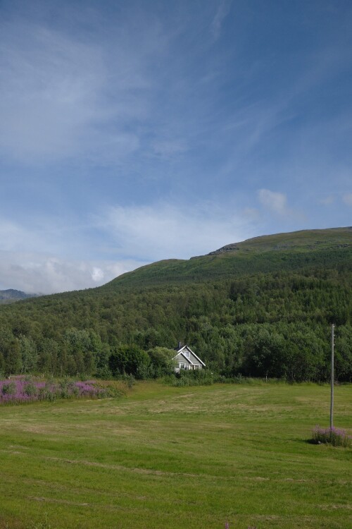 DSCF1776.jpg