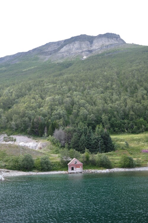 DSCF1778.jpg