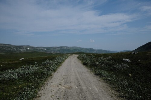 DSCF1826.jpg