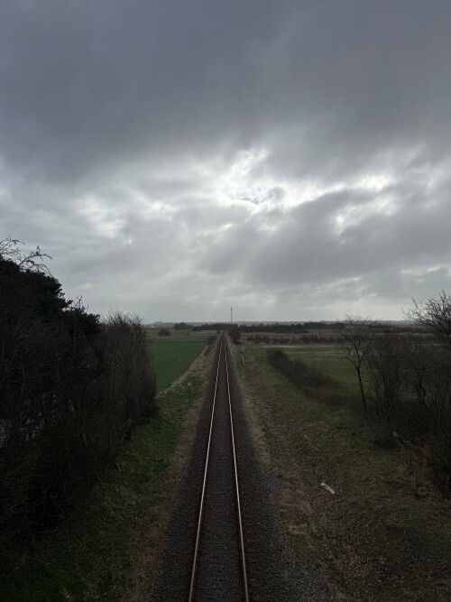 IMG_2468.jpeg