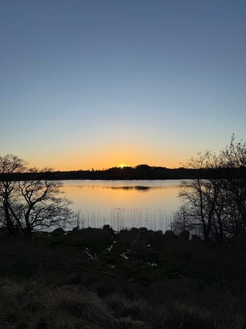 IMG_2506.jpeg