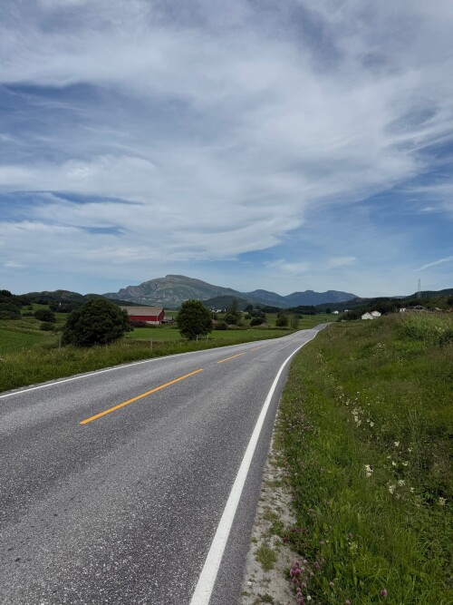 The-road.jpeg