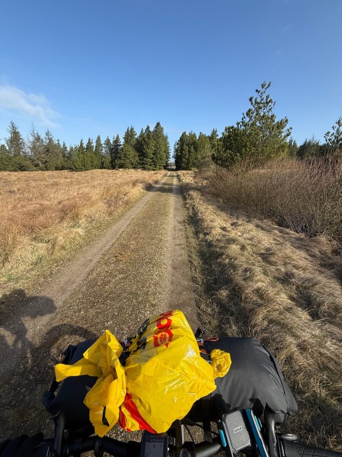 Tracks.jpeg