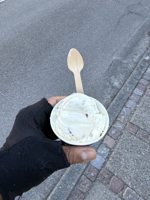 IMG_2971.jpeg