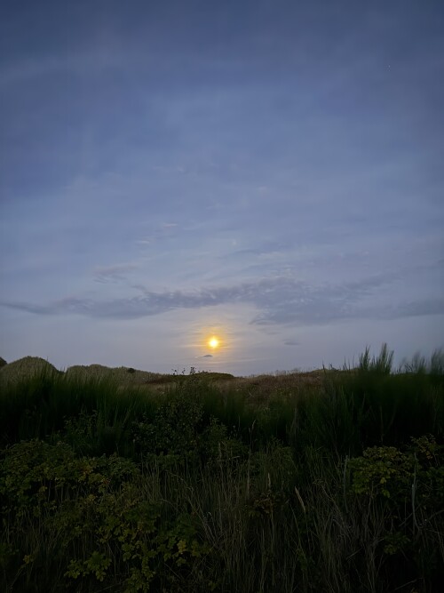 IMG_3121.jpeg