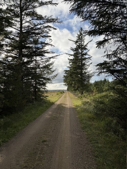 IMG_3199.jpeg