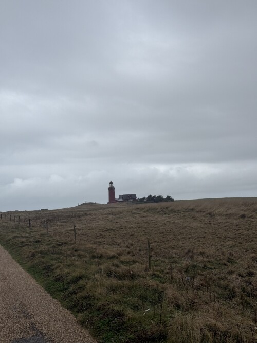 IMG_3270.jpeg
